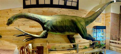 Top Dinosaur Attractions In The Carolinas For Kids And Kids At Heart