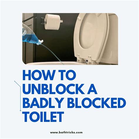 How To Unblock A Badly Blocked Toilet Ultimate Diy Guide Bath Tricks