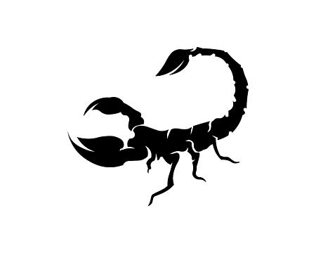 Scorpions Silhouette PNG Free Scorpion Logo Template Vector Illustration Isolated Sting