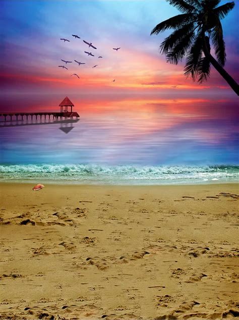 Sea Sandy Beach Pafty Sunset Photography Backgrounds Vinyl Cloth High