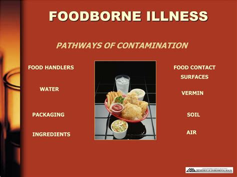 Ppt Foodborne Illness Powerpoint Presentation Free Download Id328925