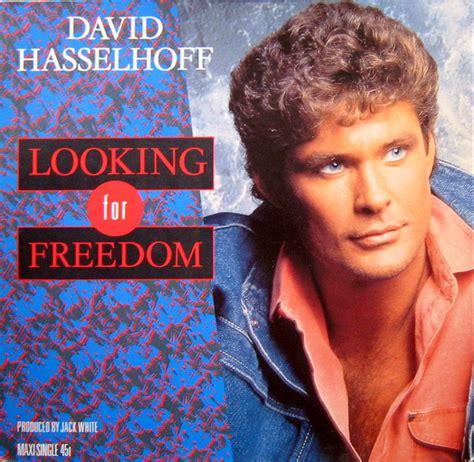 David Hasselhoff Looking For Freedom 1988 Vinyl Discogs