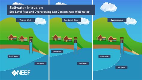 Groundwater And The Rising Seas The National Environmental Education