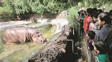 High Court Asks Delhi Zoo To Preserve Documents On Animal Deaths The