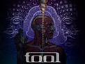 Tool New RECORD! and Music video Update. | lickthestranger
