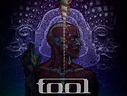Tool New RECORD! and Music video Update. | lickthestranger