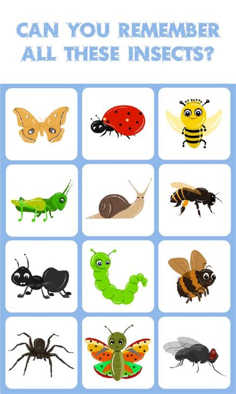 Different types of insects for kids. Insects Match: Memory Match Game: is a concentration-style ...