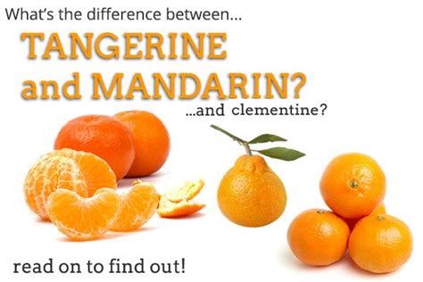 The Difference Between Mandarins Tangerines And Clementines By Nature