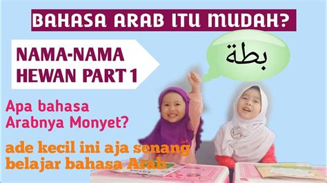 Belajar bahasa arab pada khususnya atau secara umum pembelajaran bahasa harus menguasai 4 kemampuan berbahasa yaitu maharah istima, kalam dan dua lainnya. BELAJAR BAHASA ARAB DENGAN MUDAH PART 1 - YouTube