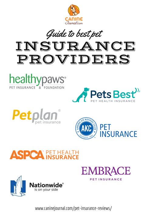 Pet Insurance Reviews 2020: Cost & Coverage Comparisons | Pet insurance reviews, Pet health ...