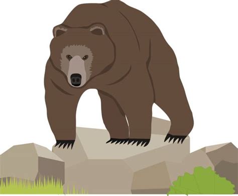 Grizzly Bear Cub Illustrations Royalty Free Vector Graphics And Clip Art