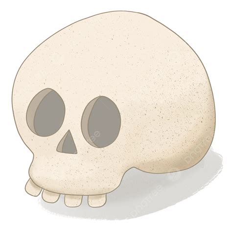 Skull Cartoon Skull Horror Halloween Png Transparent Clipart Image