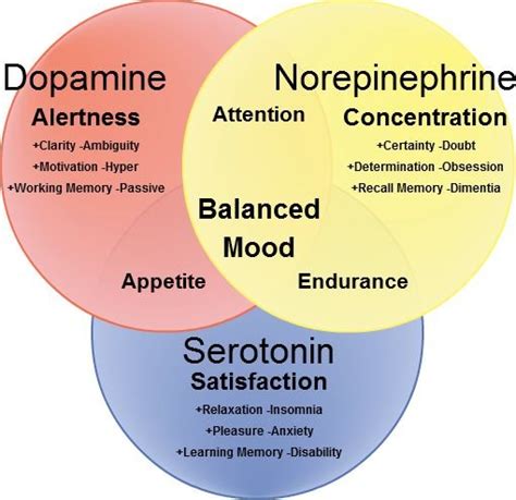 Fig The Three Main Neurotransmitters Namely Serotonin Dopamine And Download Scientific