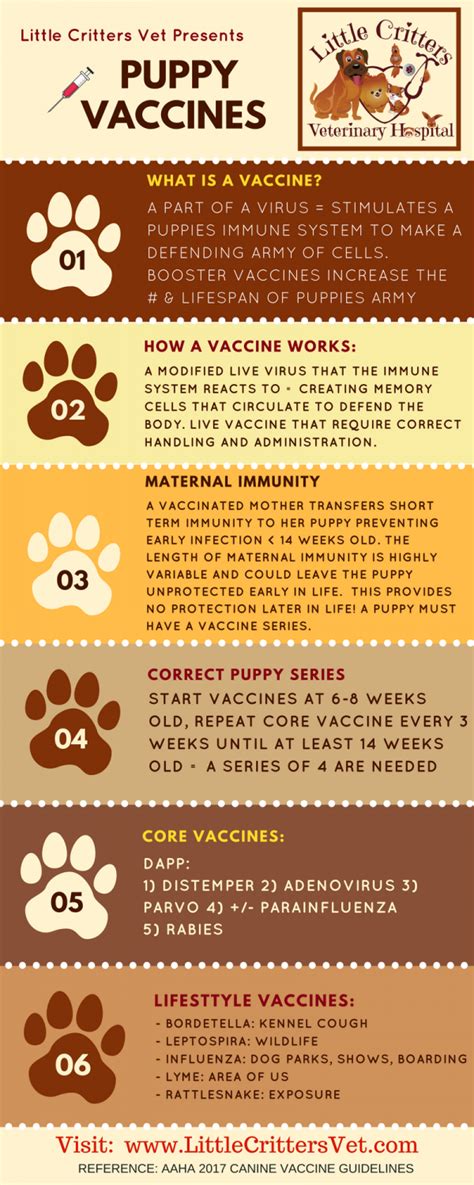 7 puppy vaccination cost in australia. Vaccinating Puppies - Little Critters Veterinary Hospital ...
