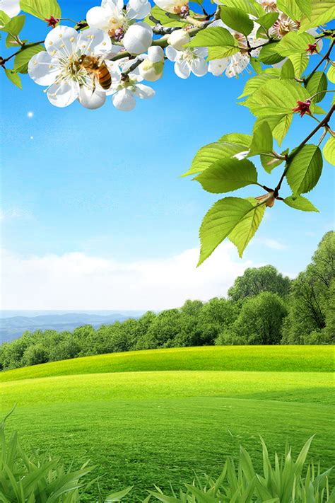 Download Spring Iphone Wallpaper Premiumcoding By Spencermoore