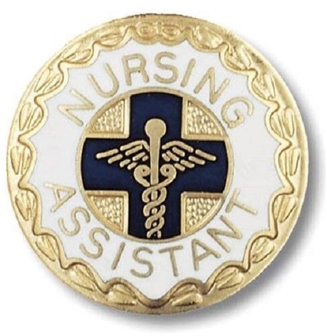 Nursing Assistant Lapel Pin Medical Na Gold Plated Graduation