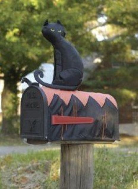Mr Puddy Zone Cat Mailbox