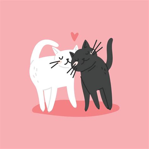 Cute Cat Couple Illustration 11897798 Vector Art At Vecteezy