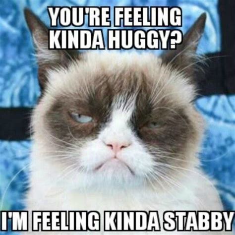 Youre Feeling Kinda Huggy Im Feeling Kinda Stabby Grumpy Cat