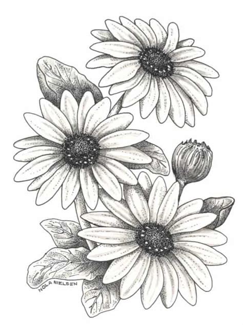 Beginner Realistic Charcoal Flower Drawing Flower Drawings Beginners