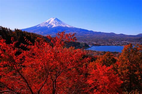 Autumn Leaves And Mt Fuji From The Hill Lake Kawaguchi Japan Stock