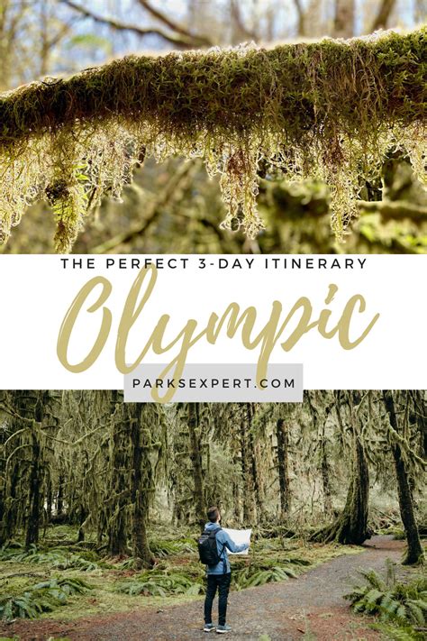 Perfect 3 Days In Olympic National Park Itinerary From Seattle