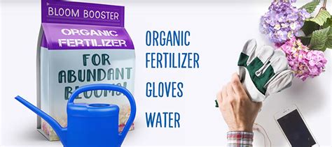 What Fertilizers Should You Use And When A Basic Guide Fertilizer Hot
