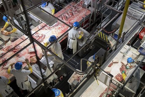 How Many Hogs Can Be Slaughtered Per Hour Pork Industry Wants More