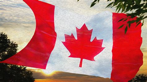 Canadian Flag Oil On Canvas 4k Ultra Fondo De Pantalla Hd Fondo De