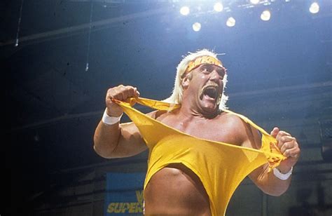 Hulk Hogan Fired By Wwe After Racial Slur Scandal Erupts Star Magazine