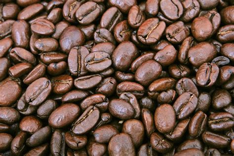 Coffee Beans Free Photo Download Freeimages