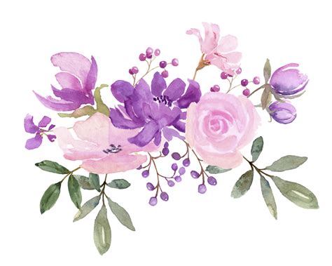 Flores Frescas De Primavera En La Colección De Acuarela Púrpura Rosa Y