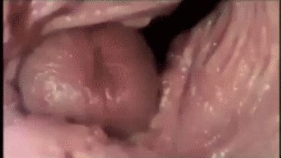 Gif Cum Vagina Telegraph