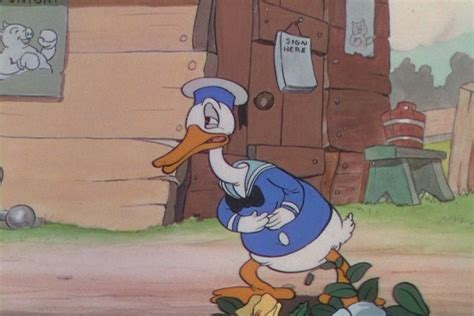Donald Duck The Wise Little Hen Donald Duck Image 9562000 Fanpop
