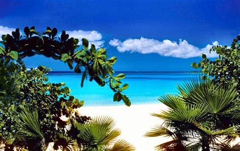 3047x1920 Free screensaver beach | Caribbean beaches, Honeymoon ...
