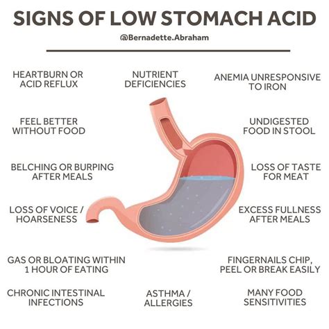 The Importance Of Stomach Acid Bernadette Blog