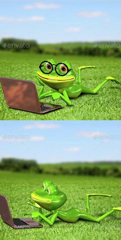 Frog With A Laptop On The Grass By Brux Graphicriver