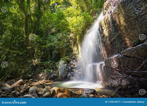 Waterfall In Tropical Rainforest Stock Image Image Of Lush Beauty
