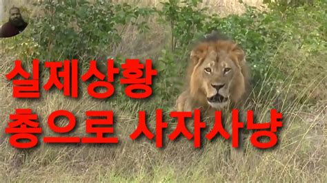 Vs Lions Hunting Tv
