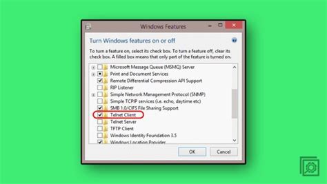 Windows Install Telnet Client