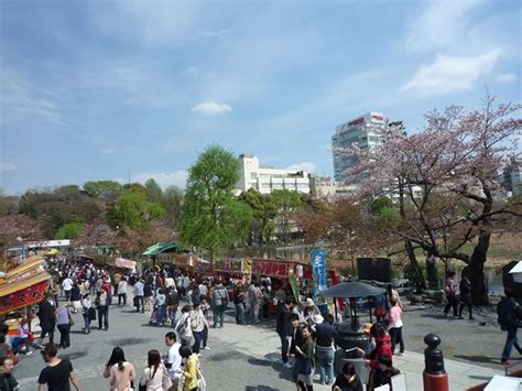 Ueno District Jepang Review Tripadvisor