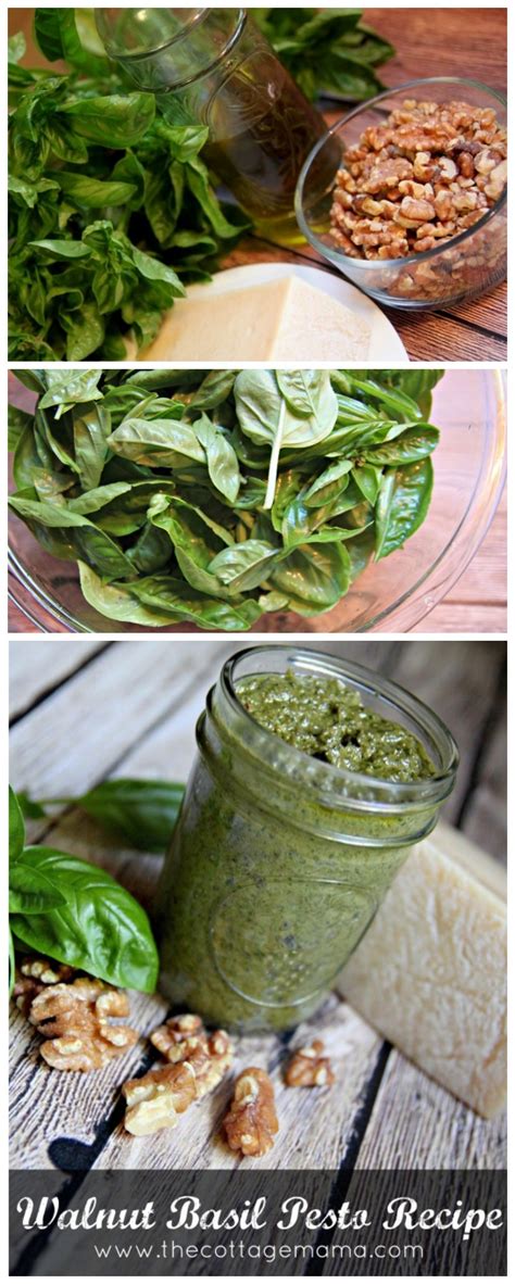 Walnut Basil Pesto Recipe The Cottage Mama The Cottage Mama