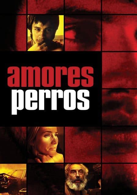 Recomendaciones De Cine Hispano Amores Perros 2000 La Prensa