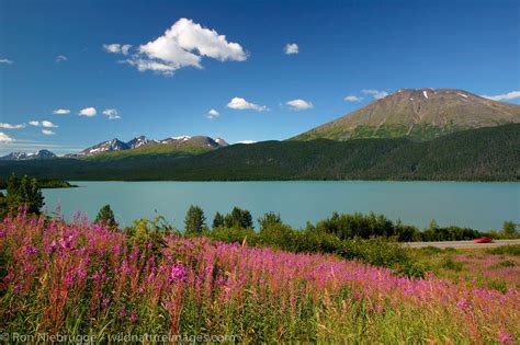 Kenai Lake Alaska Photos By Ron Niebrugge