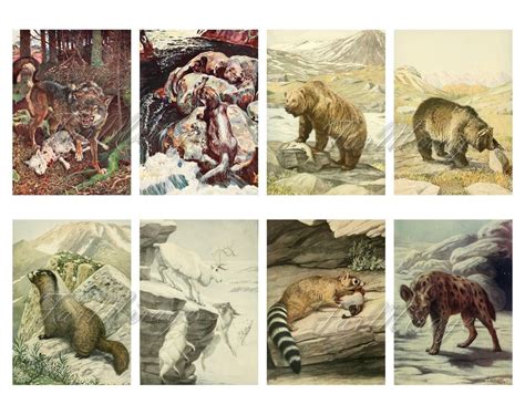 Carnivores Set 1 Digital Collage Sheet 40 Atc Cards Etsy