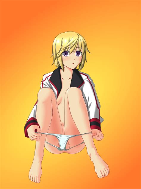 Rule 34 Charlotte Dunois Infinite Stratos Tagme 808056