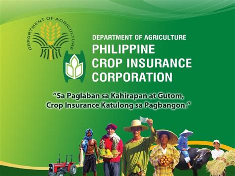 Nowadays, many farmers buy crop insurance. Pcic presentation rba pversion11