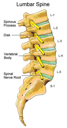 Stop Compressing The Lumbar Spine All Day Long
