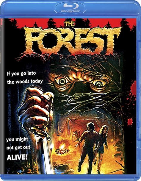 The Forest 1982 Blu Ray Review