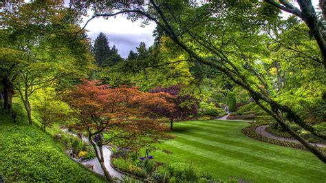 Trees Green Lawn Garden Path From Above Strips Hd Nature Wallpapers